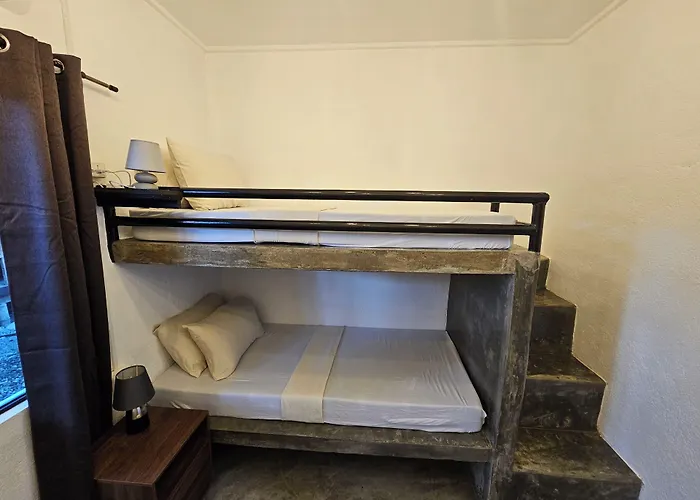 Hostel Crazy Bears