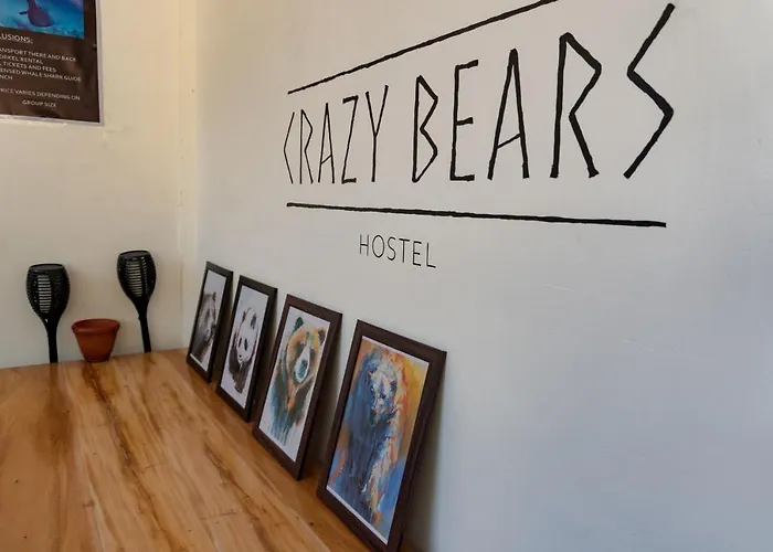 Crazy Bears Ostello Moalboal